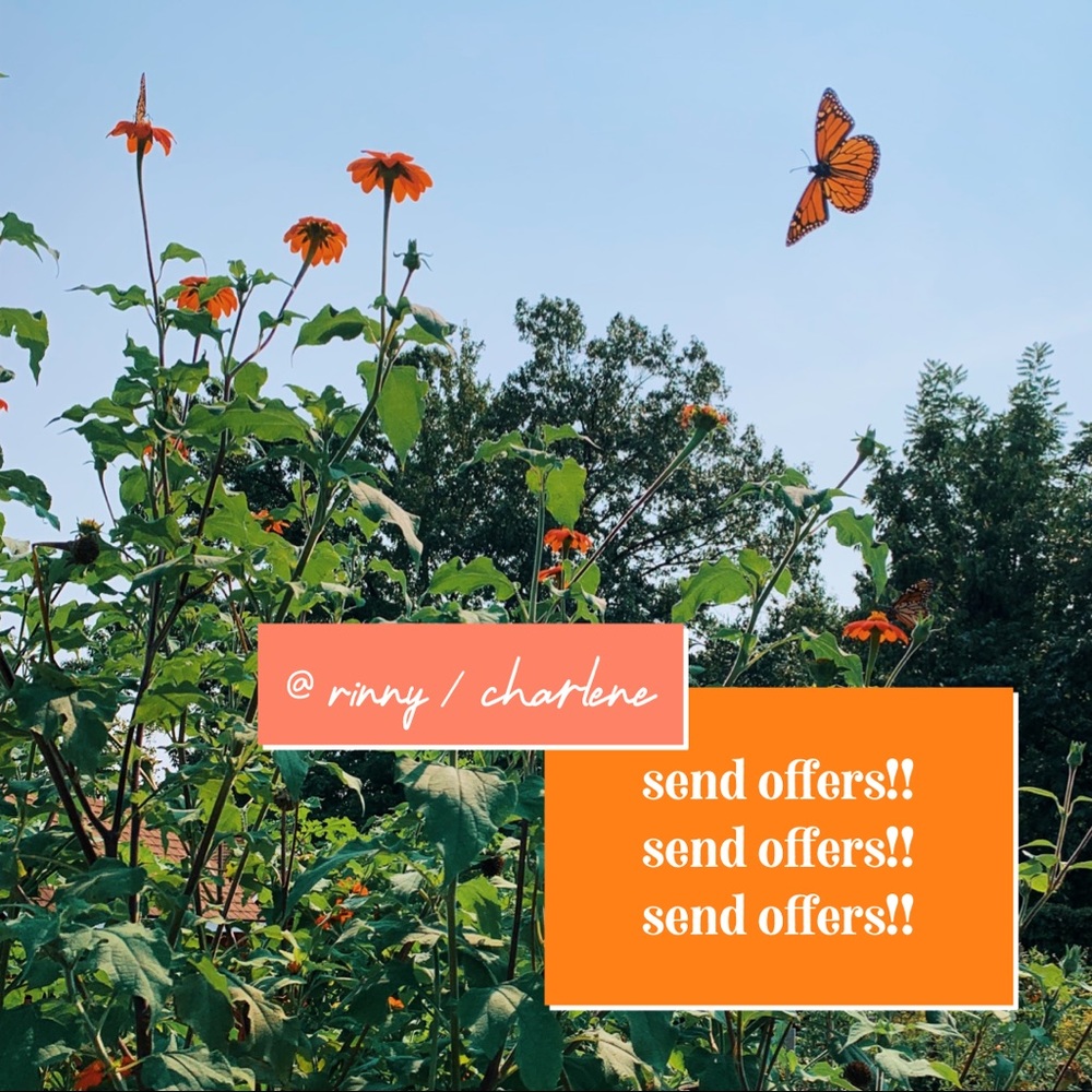 🌷 accepting offers! 🌷